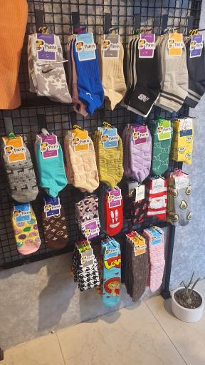 عکس گالری فرآهو