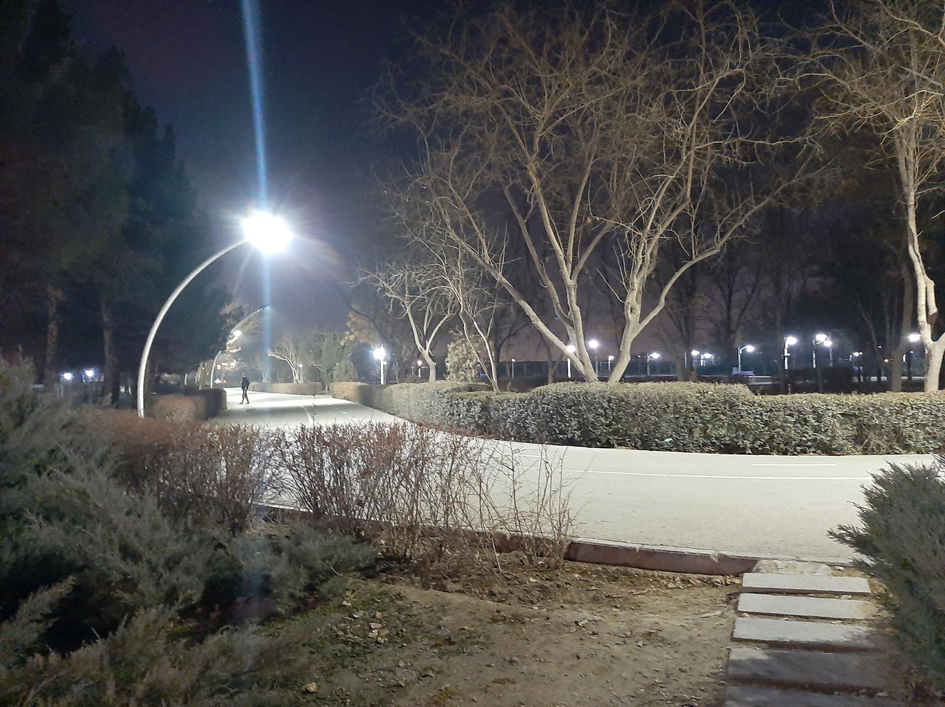 عکس پارک بهار