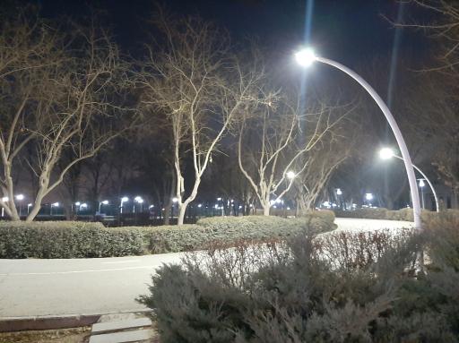 عکس پارک بهار