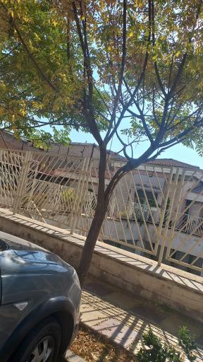 عکس کتابخانه مالک اشتر 