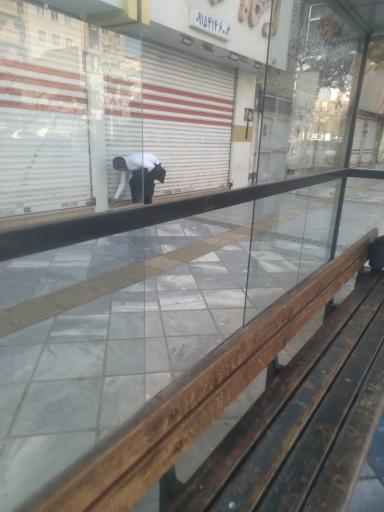 عکس  میدان استقلال