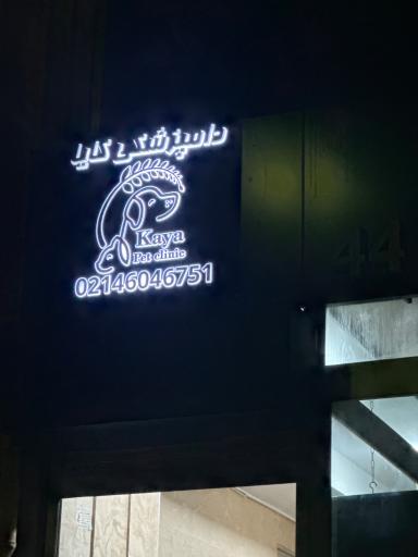 عکس دامپزشکی و پت شاپ کایا