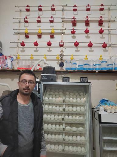 عکس مجموعه ماکیان حسن زاده