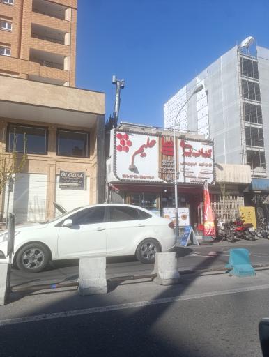 عکس کباب یزدی