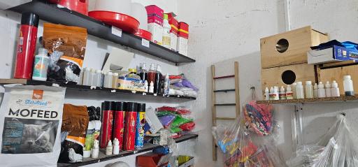 عکس دام و طیور یاسر
