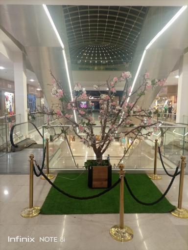 عکس مجتمع اداری تجاری پالمیرا