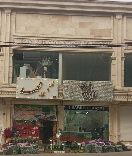 عکس گل و گیاه محمد