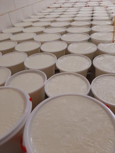 عکس لبنیاتی یزدان دوست