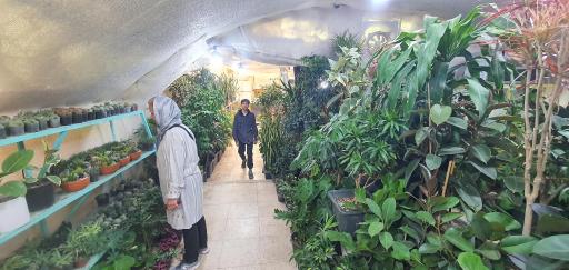 عکس مجموعه گل و گیاه نادی