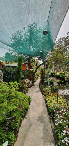 عکس مجموعه گل و گیاه نادی