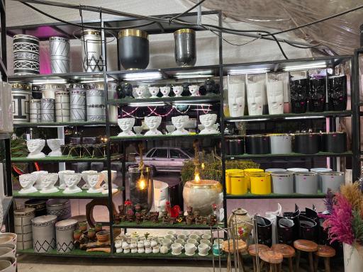عکس گلستان یاس
