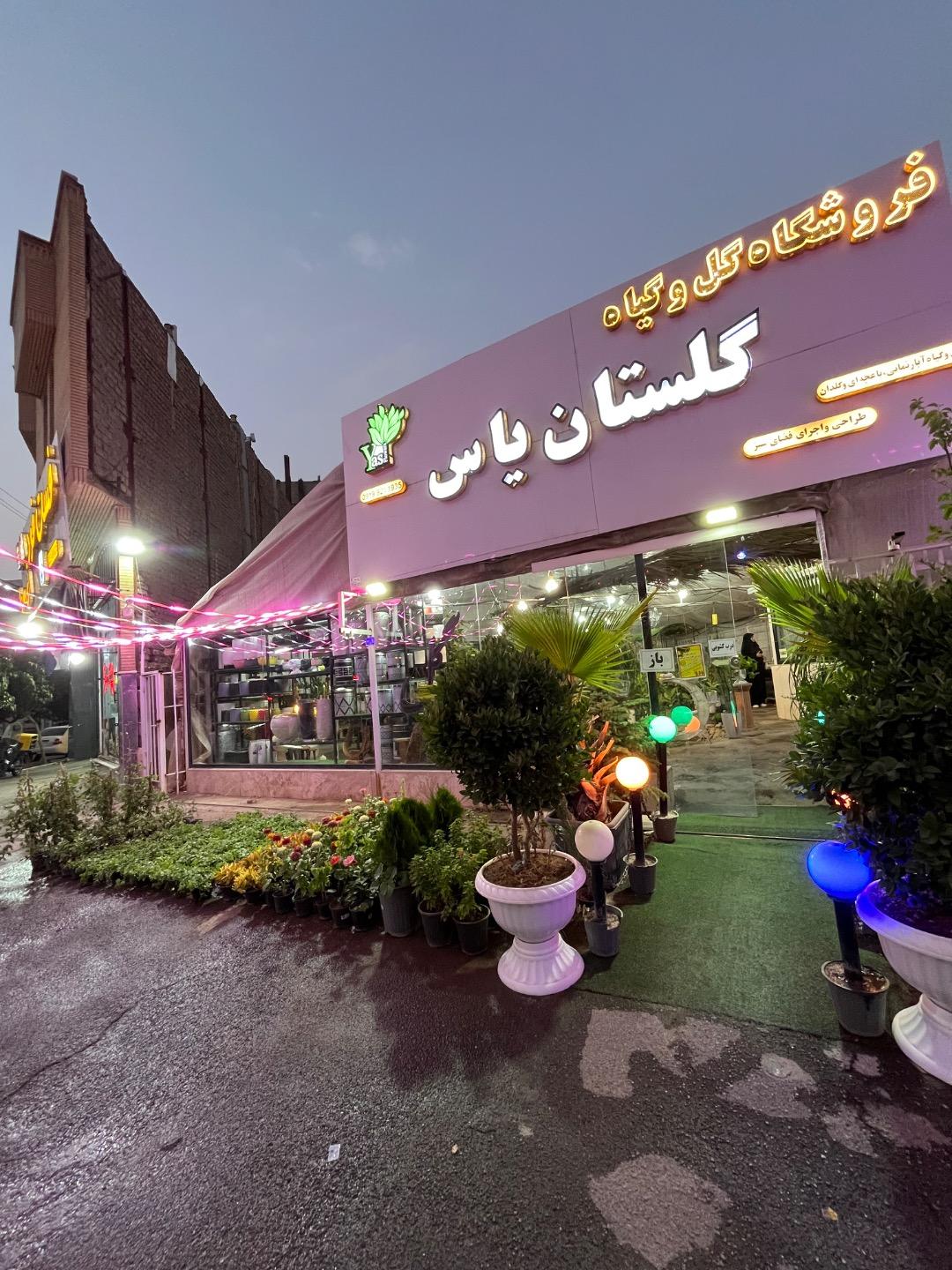 عکس گلستان یاس