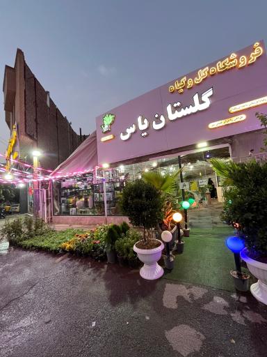 عکس گلستان یاس