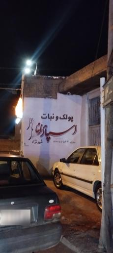 پولک و نبات اسپادانا 