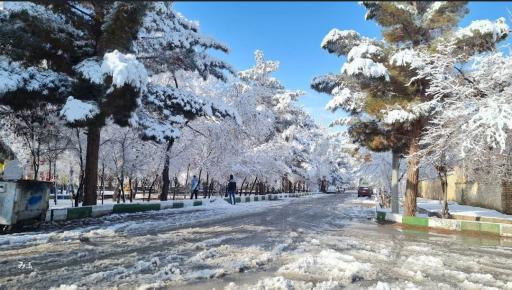 عکس پارک سید اشرف 