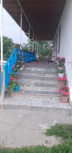 عکس ویلا اجاره ای 