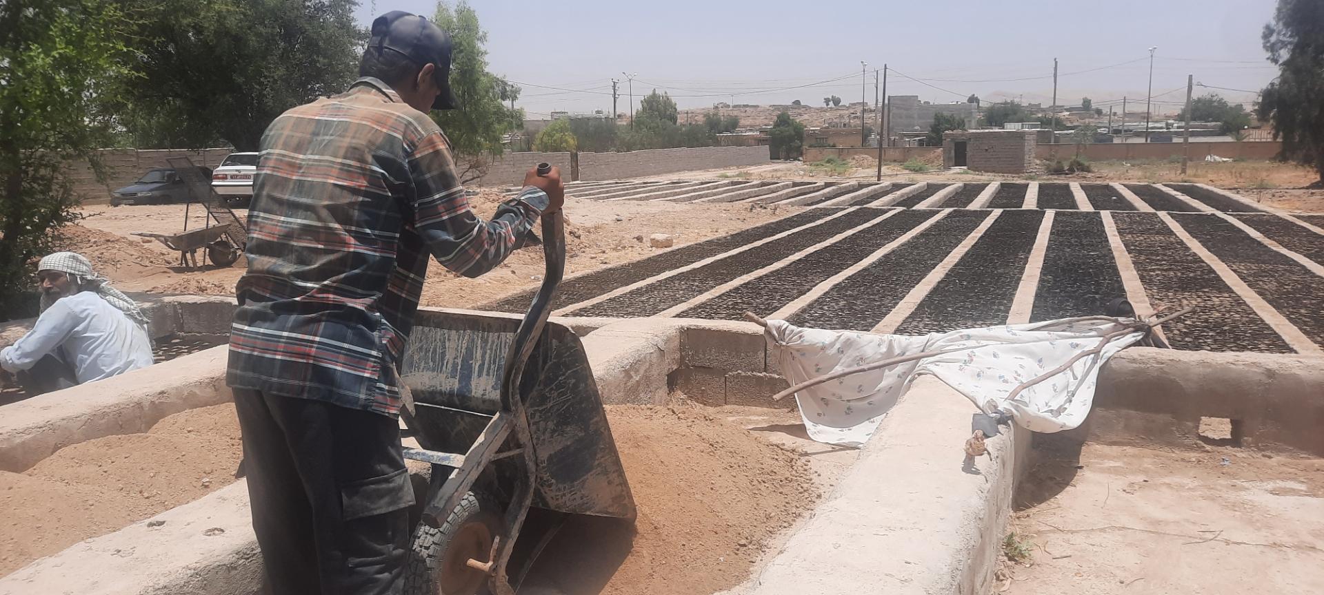 عکس نهالستان منابع طبیعی کهگیلویه