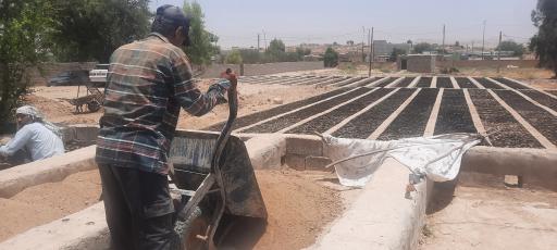 عکس نهالستان منابع طبیعی کهگیلویه