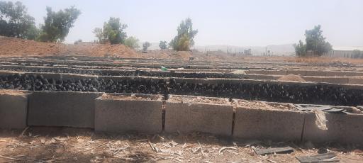 عکس نهالستان منابع طبیعی کهگیلویه