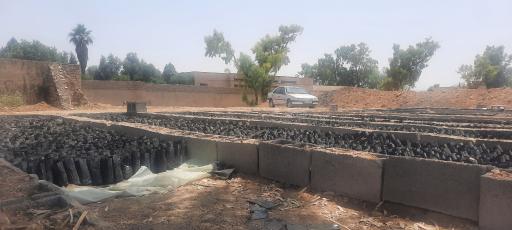 عکس نهالستان منابع طبیعی کهگیلویه