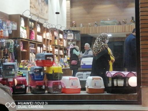 عکس کلینیک دامپزشکی دکتر مقدم