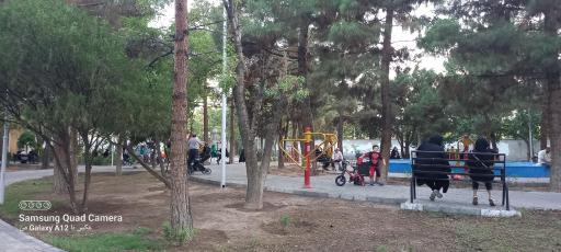 عکس پارک قطران