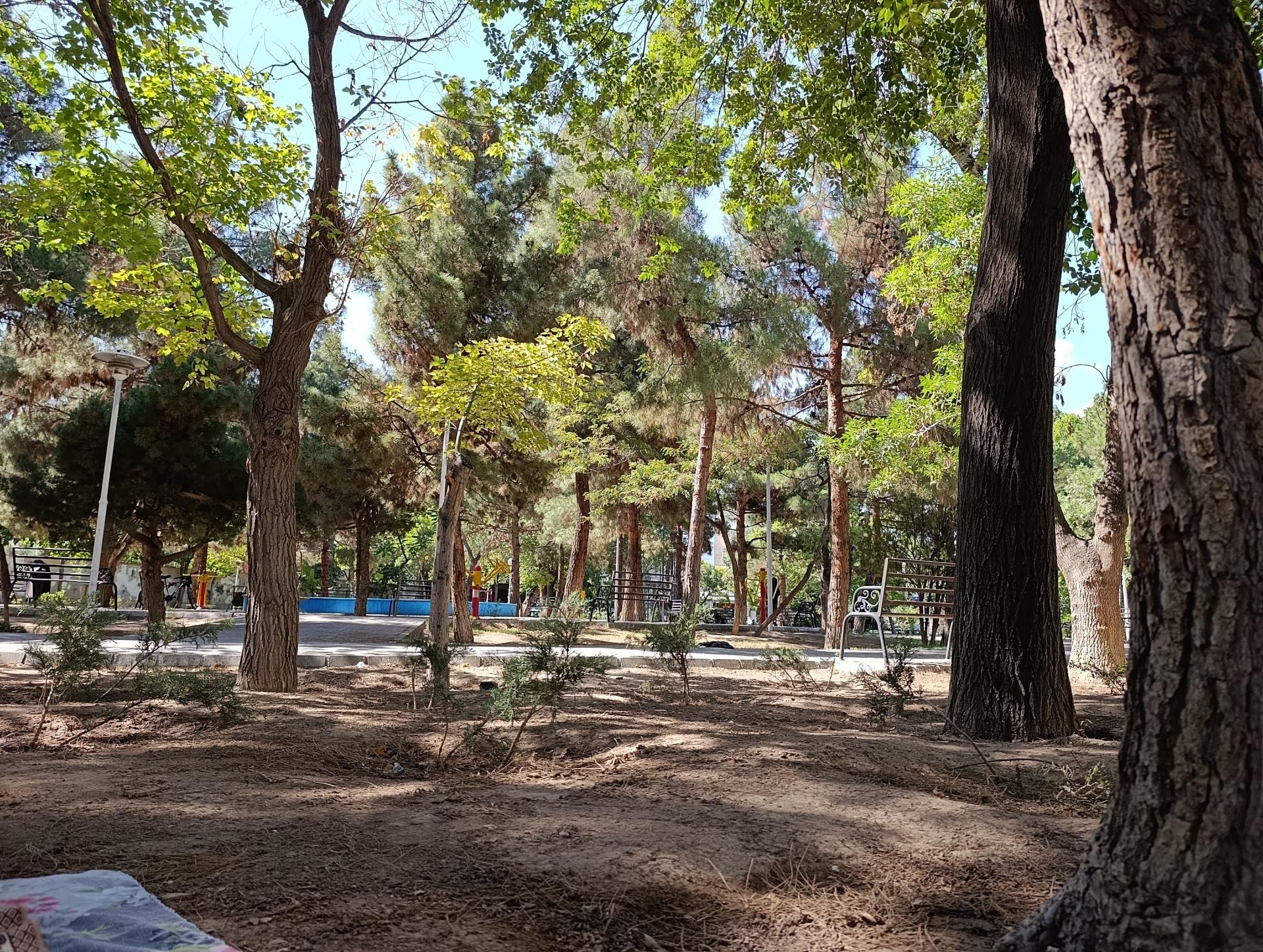 عکس پارک قطران