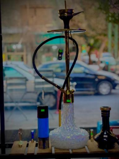 عکس مستر دود