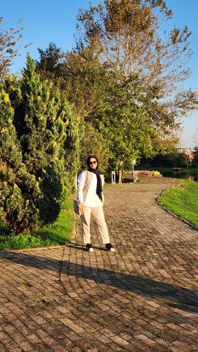 عکس شهرک دشت نور