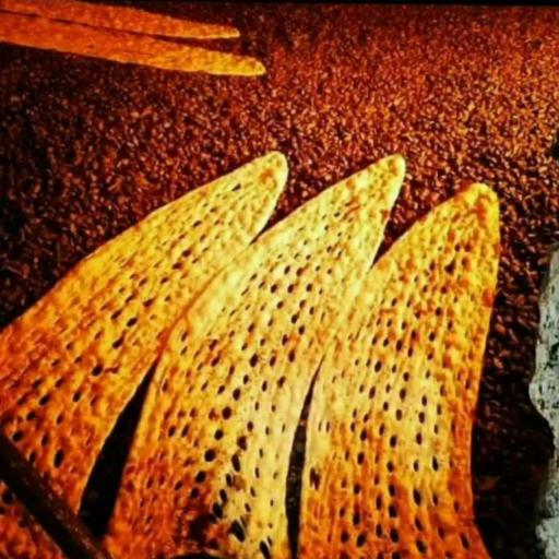 عکس نانوایی سنگک تنوری