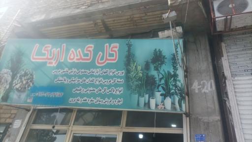 گل فروشی امیر