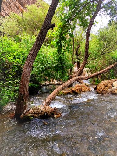 عکس آبشار آبگرم کلات