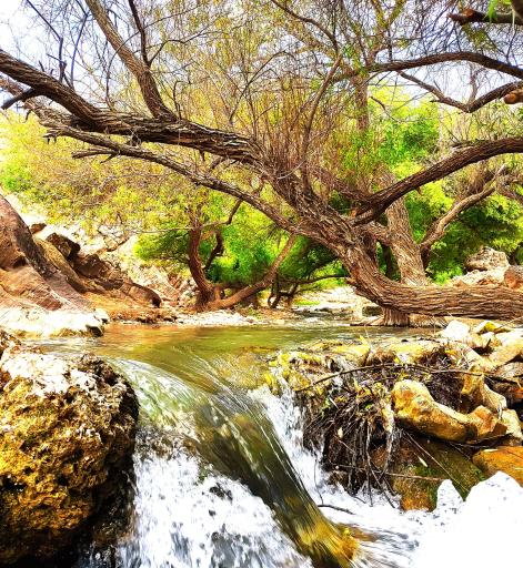 عکس آبشار آبگرم کلات