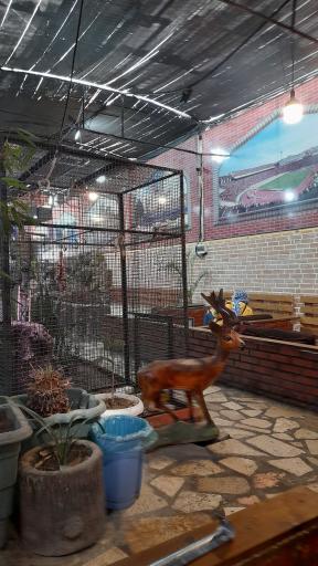 عکس کبابی تاملی