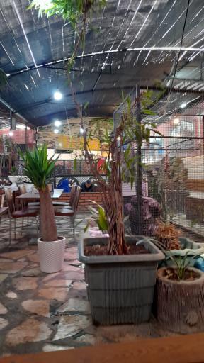 عکس کبابی تاملی