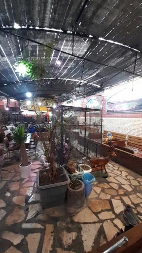 عکس کبابی تاملی