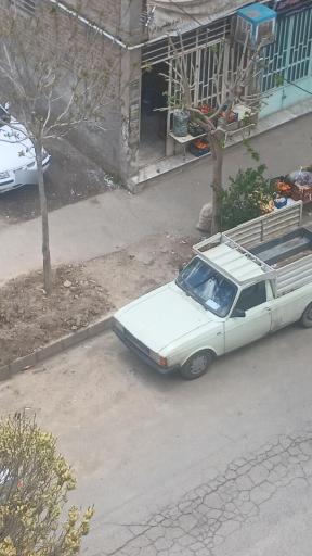 میوه فروشی مختاری