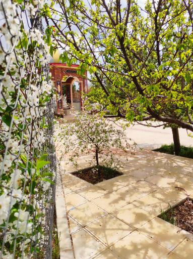 عکس حوزه علمیه خواهران حضرت زینب