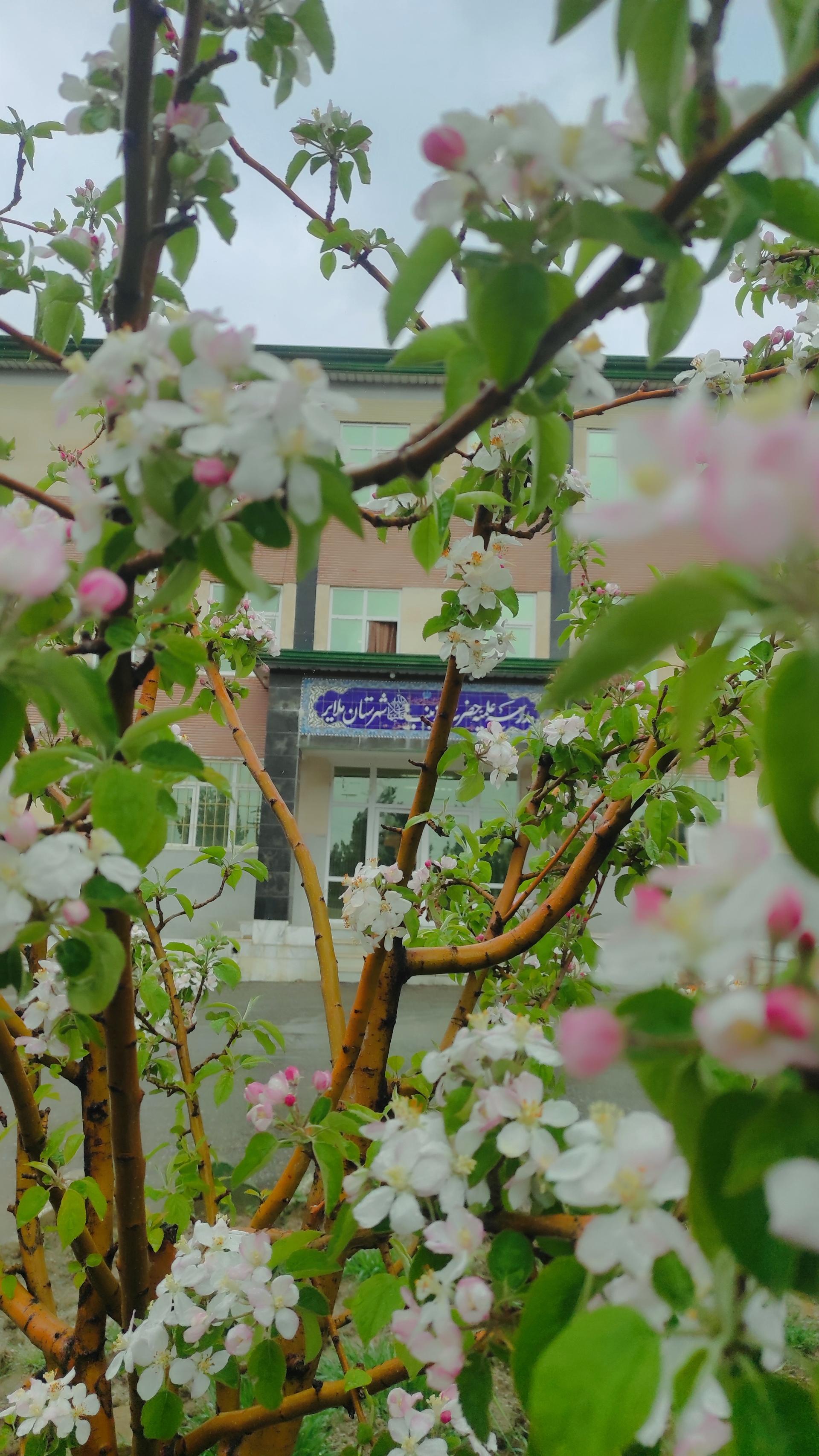 عکس حوزه علمیه خواهران حضرت زینب