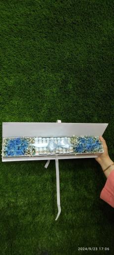 عکس گلکده حامد 