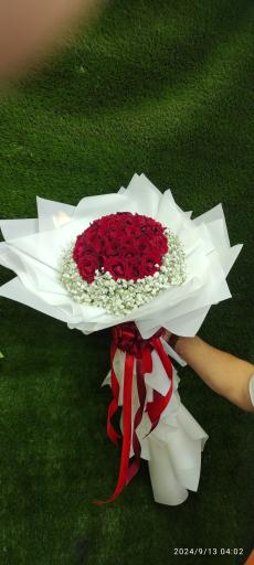 عکس گلکده حامد 