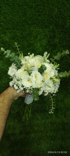 عکس گلکده حامد 