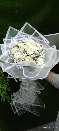 عکس گلکده حامد 