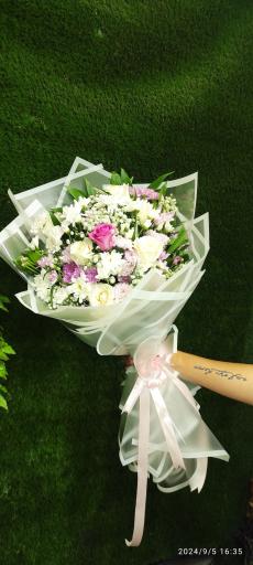 عکس گلکده حامد 