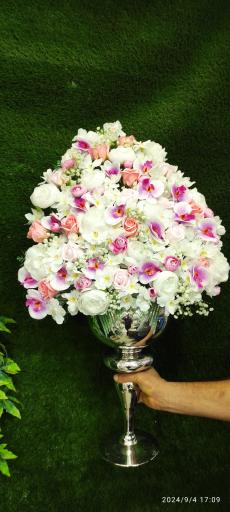 عکس گلکده حامد 