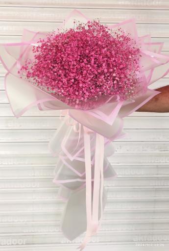 عکس گلکده حامد 