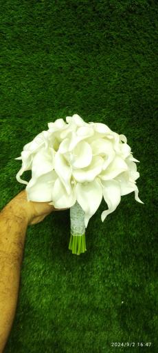 عکس گلکده حامد 