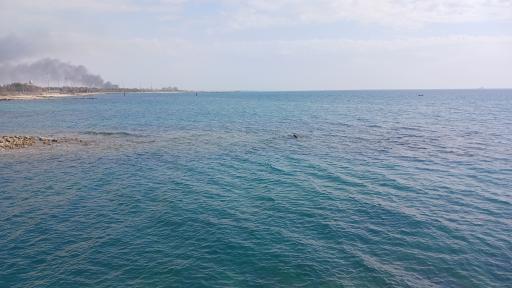 عکس ساحل نایبند