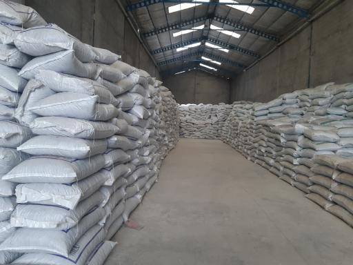 عکس پوکه لیکا بهسازان