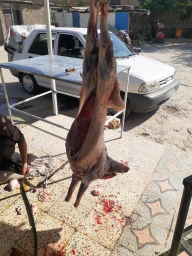 عکس گوسفند فروشی امیری 